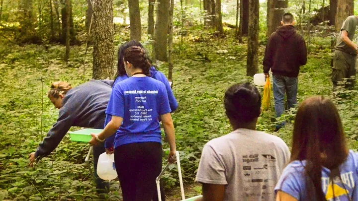 BW students perform fieldwork in a local forest